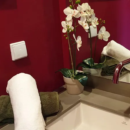 Apartman Arrabida